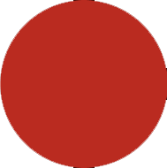 CV